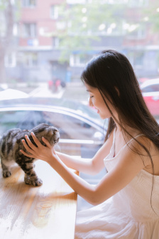 杨丽菁三级